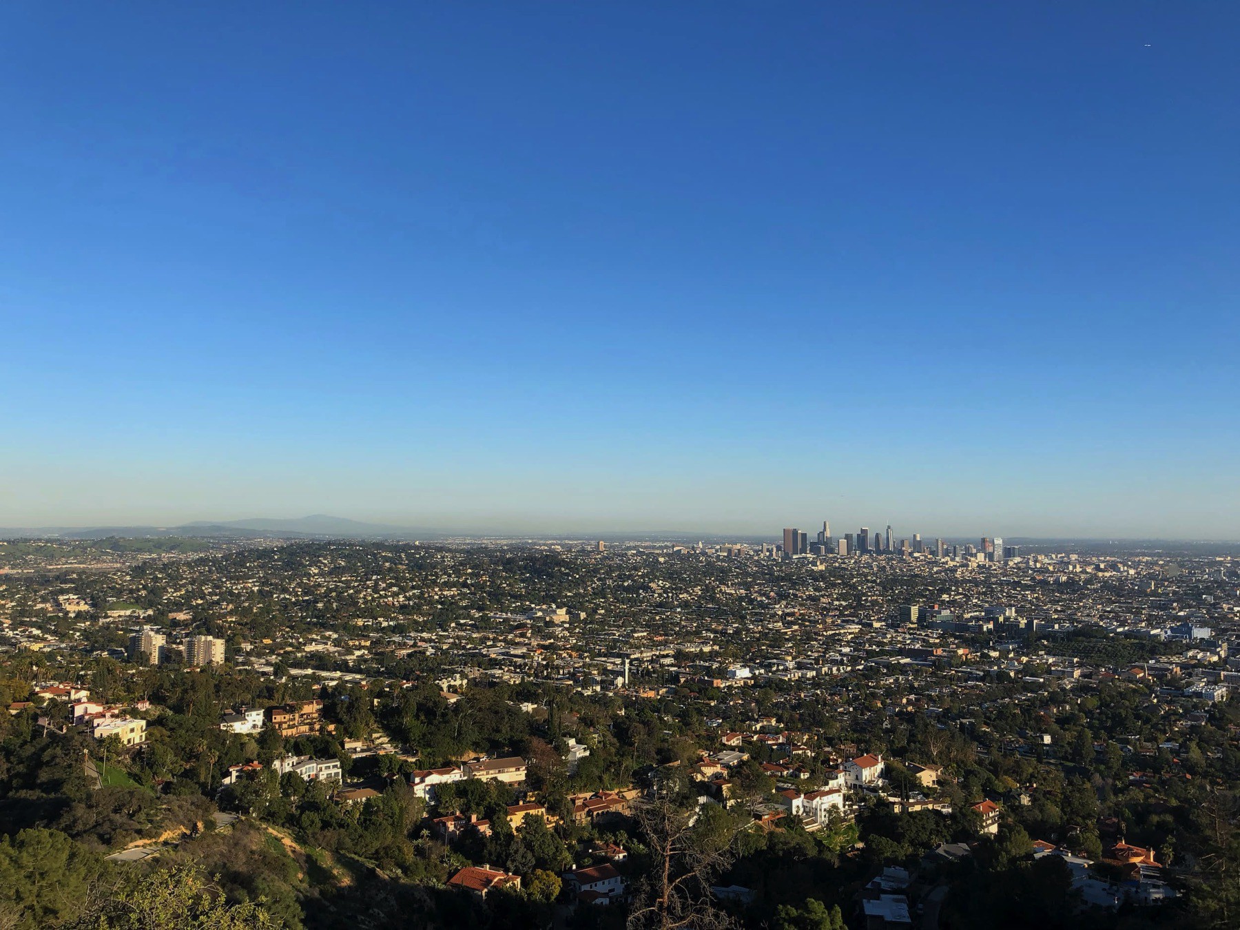 An image of the Los Angeles skyline taken from the Griffith Observatory.