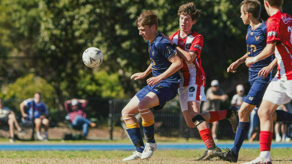 A soccer match is in progress with players in blue and red uniforms competing for the ball.