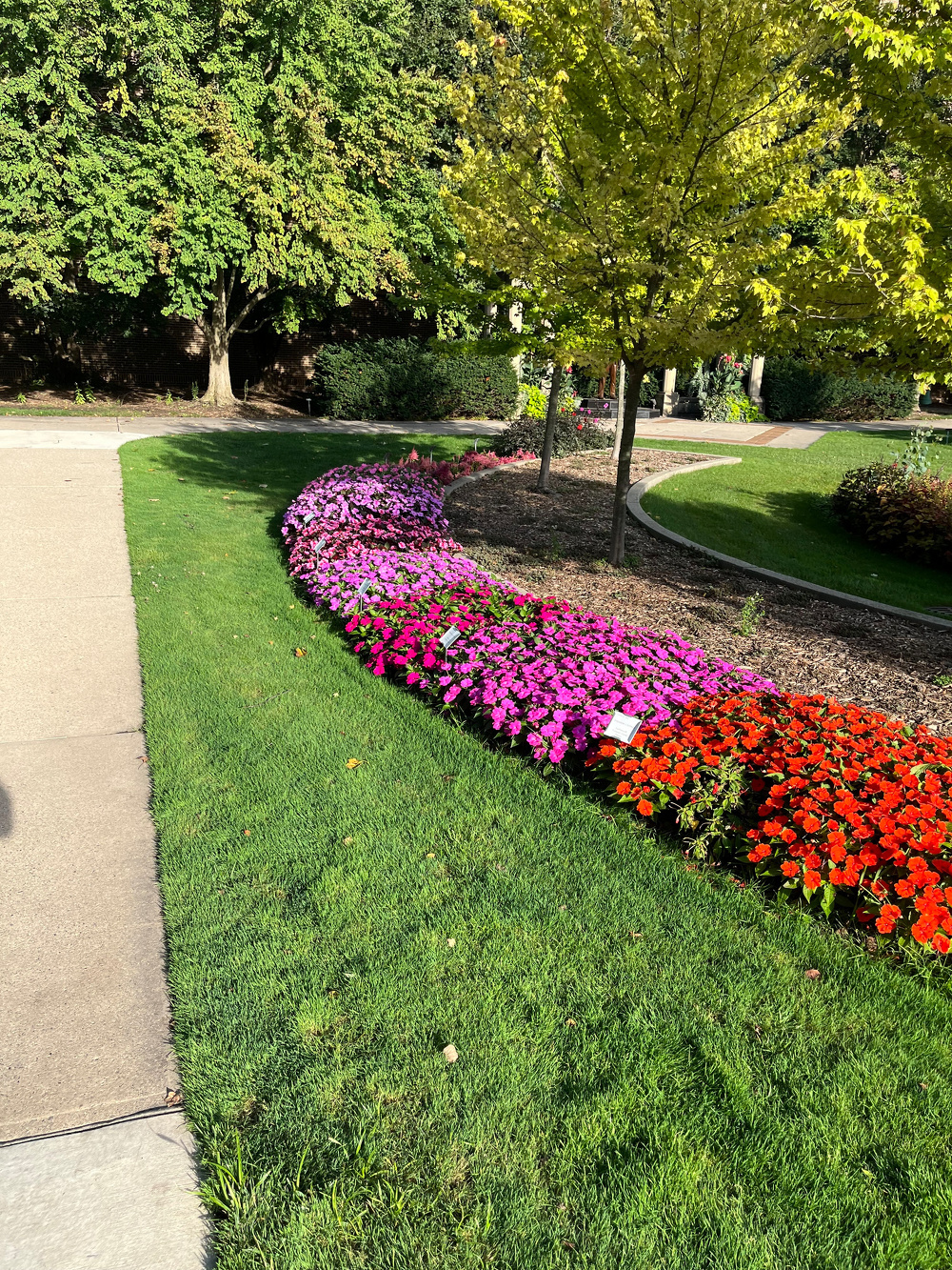 A colorful flower bed with red, pink, and purple flowers curves alongside a well-maintained grassy area bordered by a sidewalk and trees.