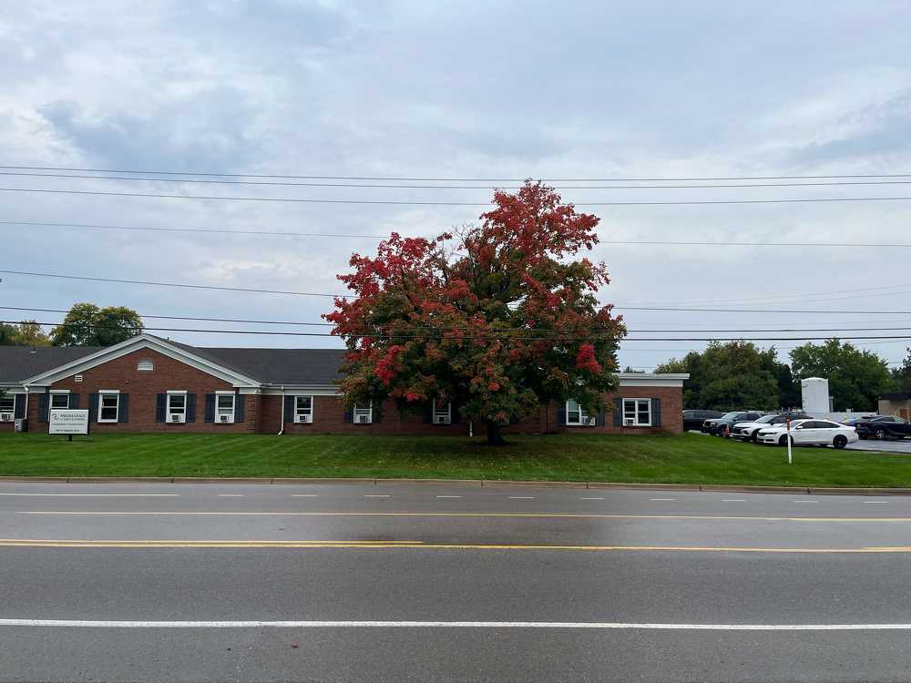 A tree with red and green leaves stands prominently on a grassy lawn in front of a single-story brick building beside a multi-lane road.