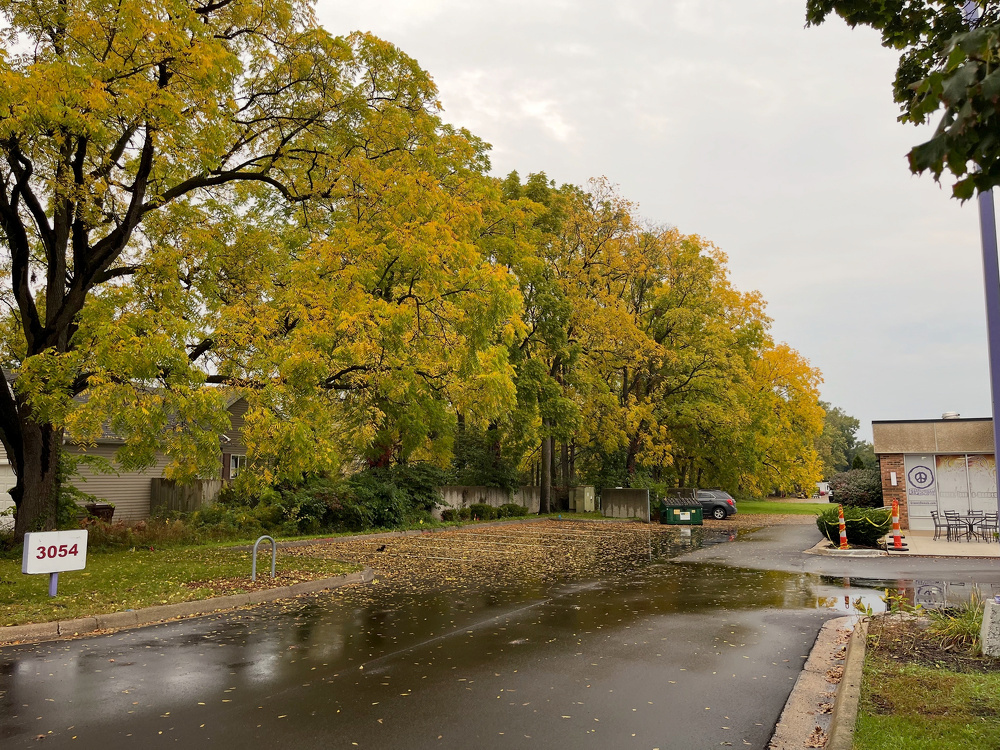 A wet street lined with trees showing autumn foliage is adjacent to buildings and parking areas under a cloudy sky.