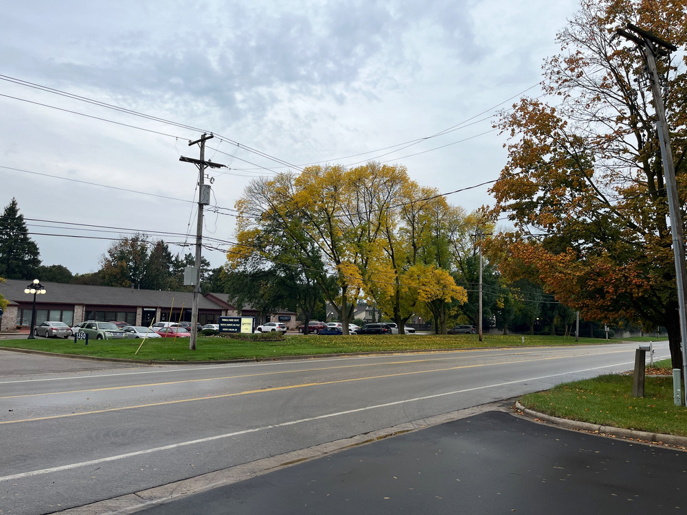 A quiet street is lined with trees showing autumn colors and a small row of buildings with parked cars on an overcast day.