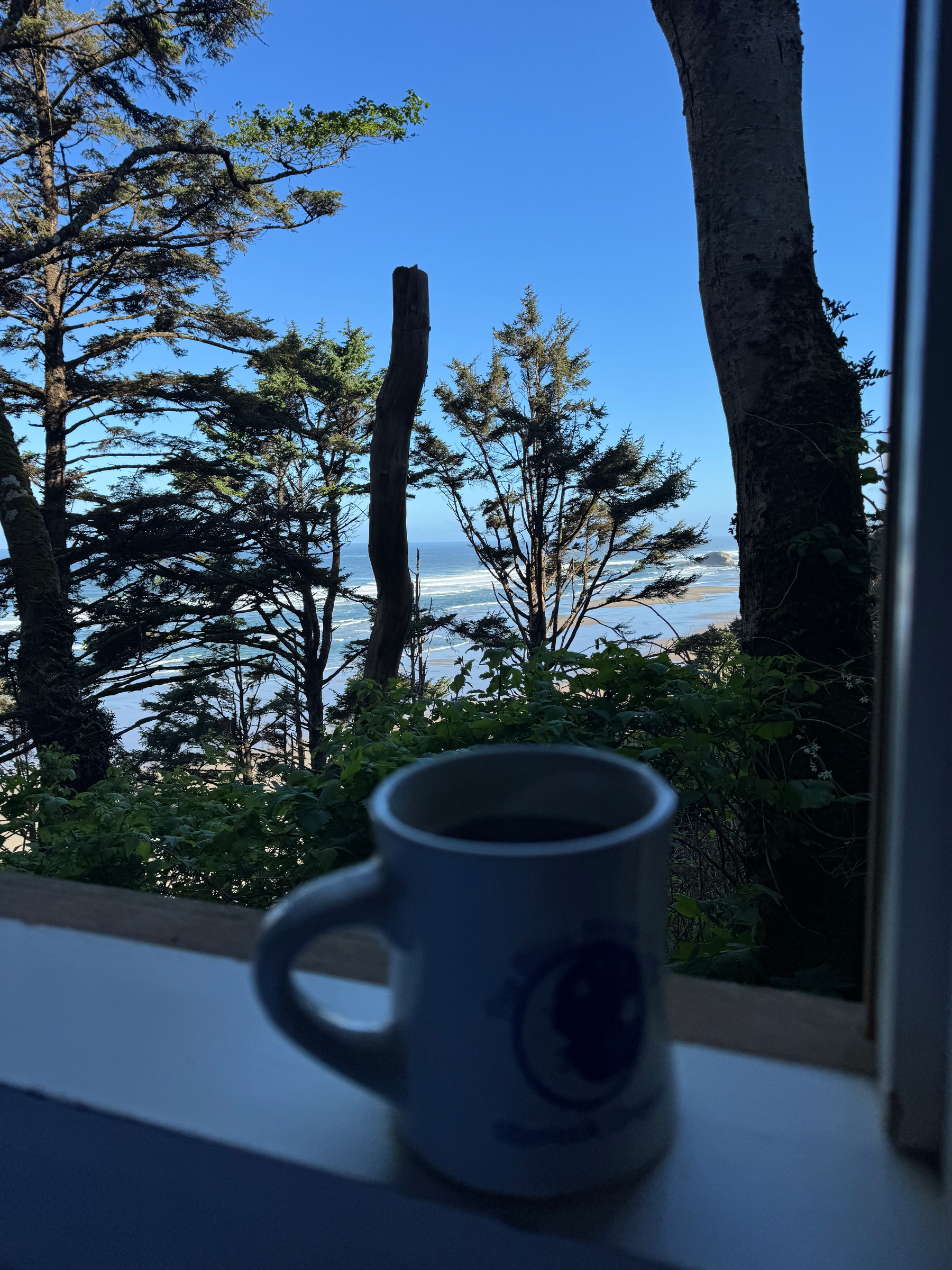 A mug of coffee sits on a windowsill, overlooking a scenic view of trees and the ocean.