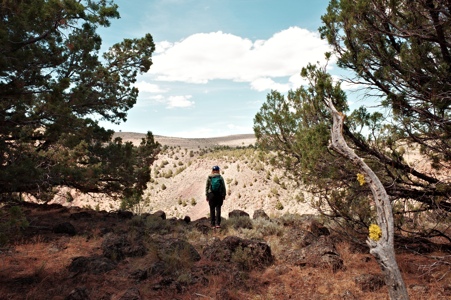 A person with a backpack is standing on rocky terrain surrounded by trees, looking out over a dry, hilly landscape under a partly cloudy sky.