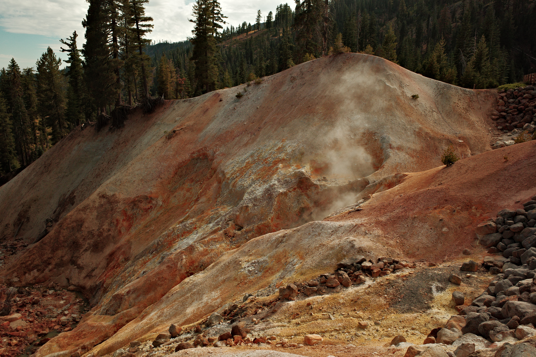 A steaming geothermal area with reddish and yellowish soil is surrounded by dense pine trees on a cloudy day.