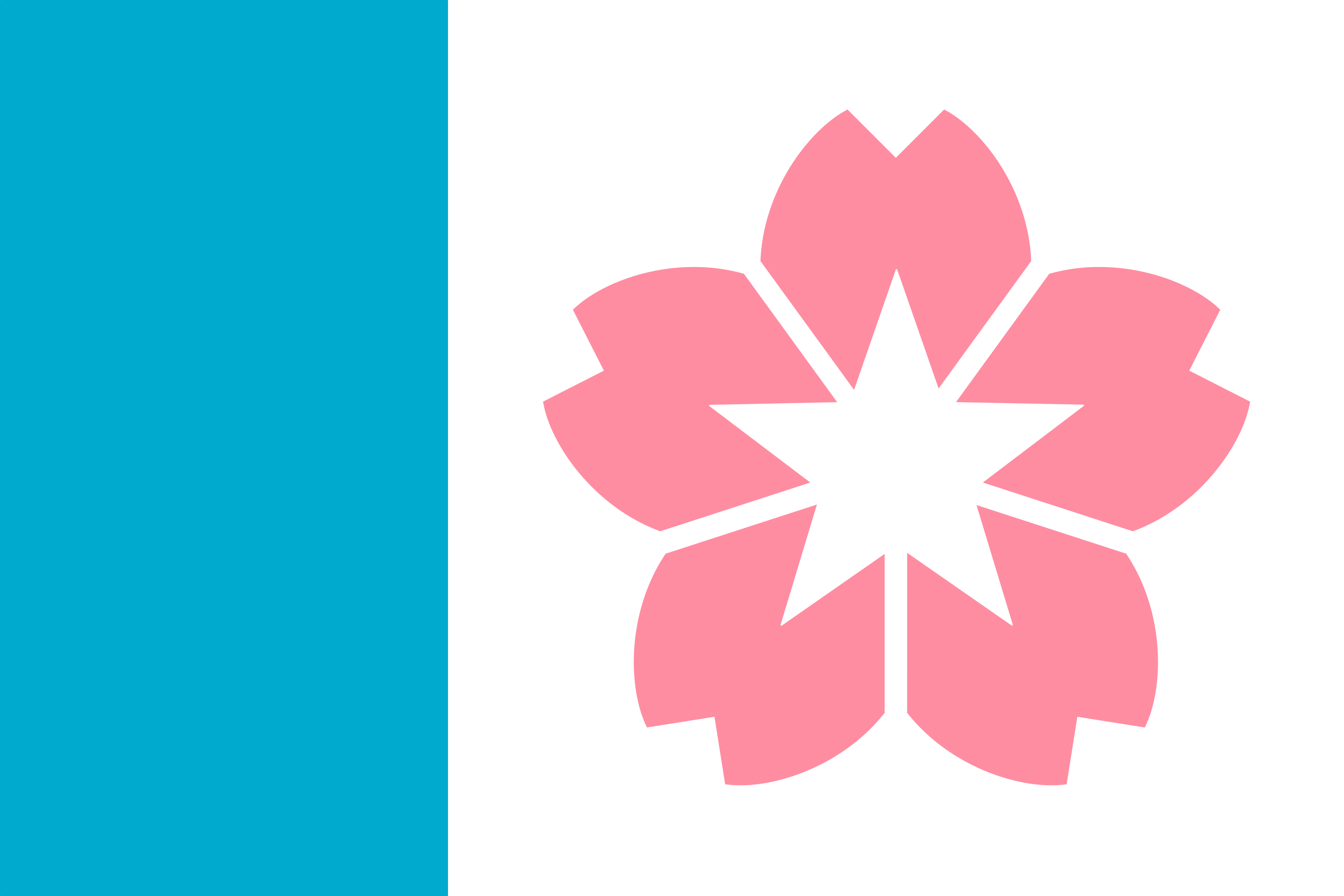 The flag of the city of Salem OR. A pink flower on a white field with a vertical blue stripe.
