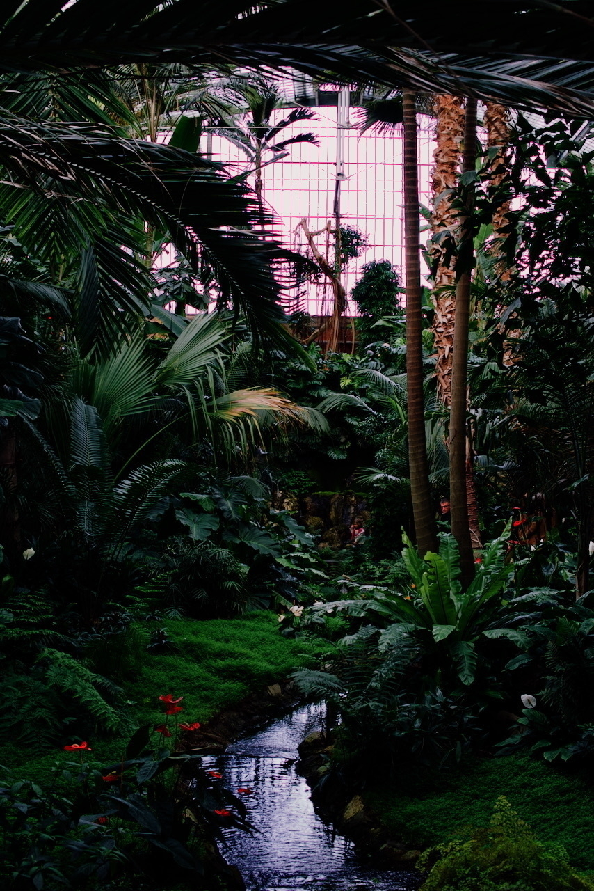 View into Palmenhaus Frankfurt