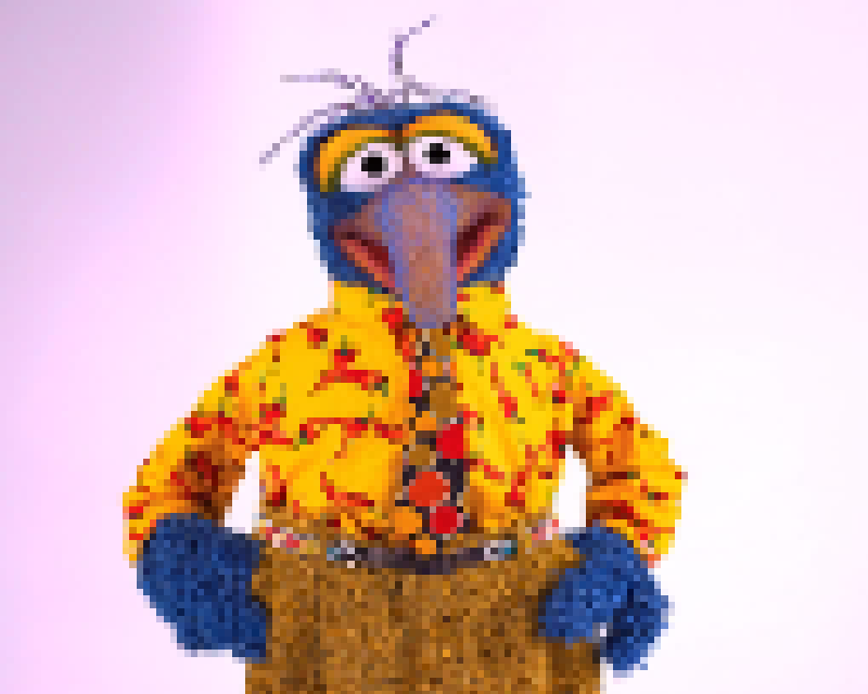 Gonzo being a fashion icon