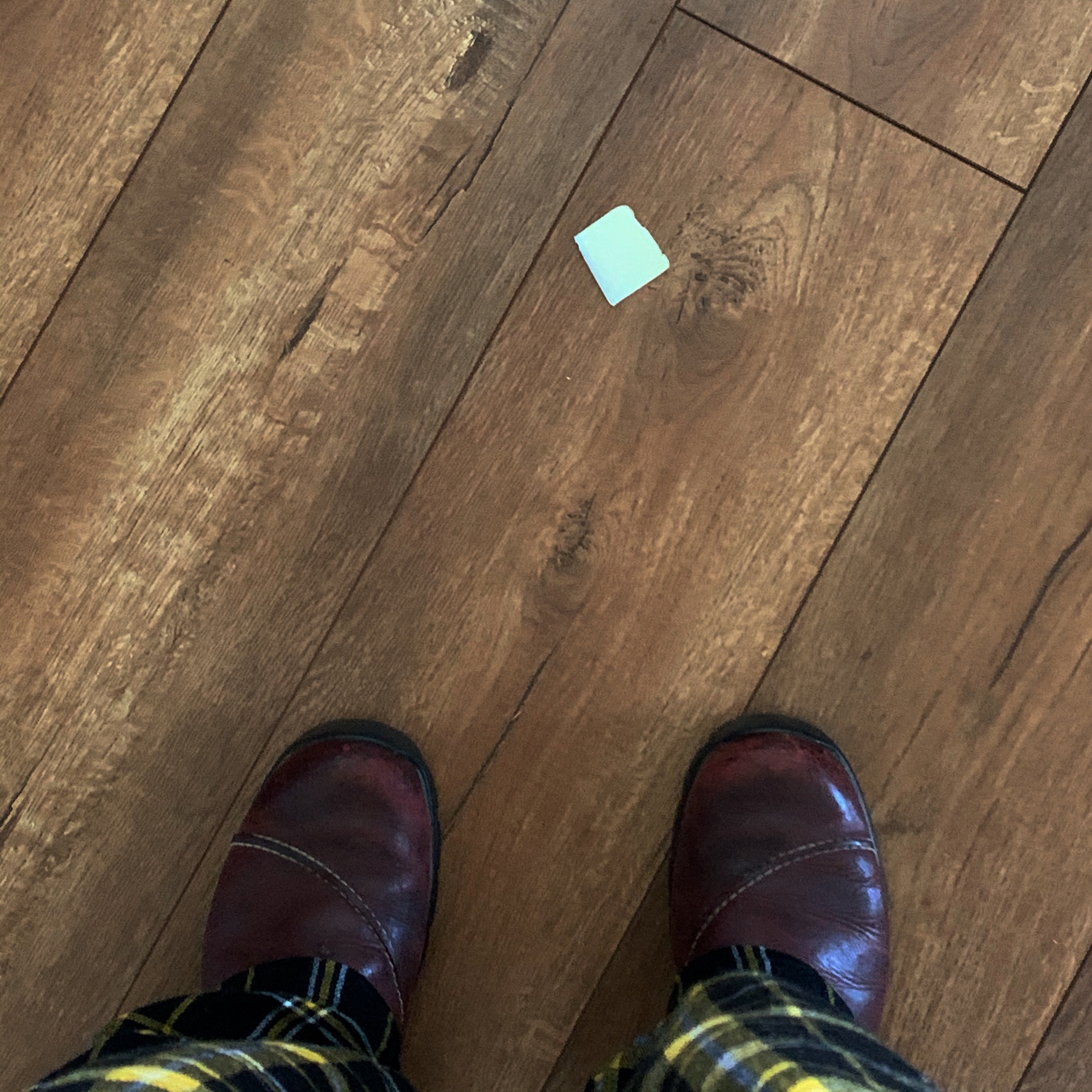 a pat of butter fell to the floor, this is my view of it