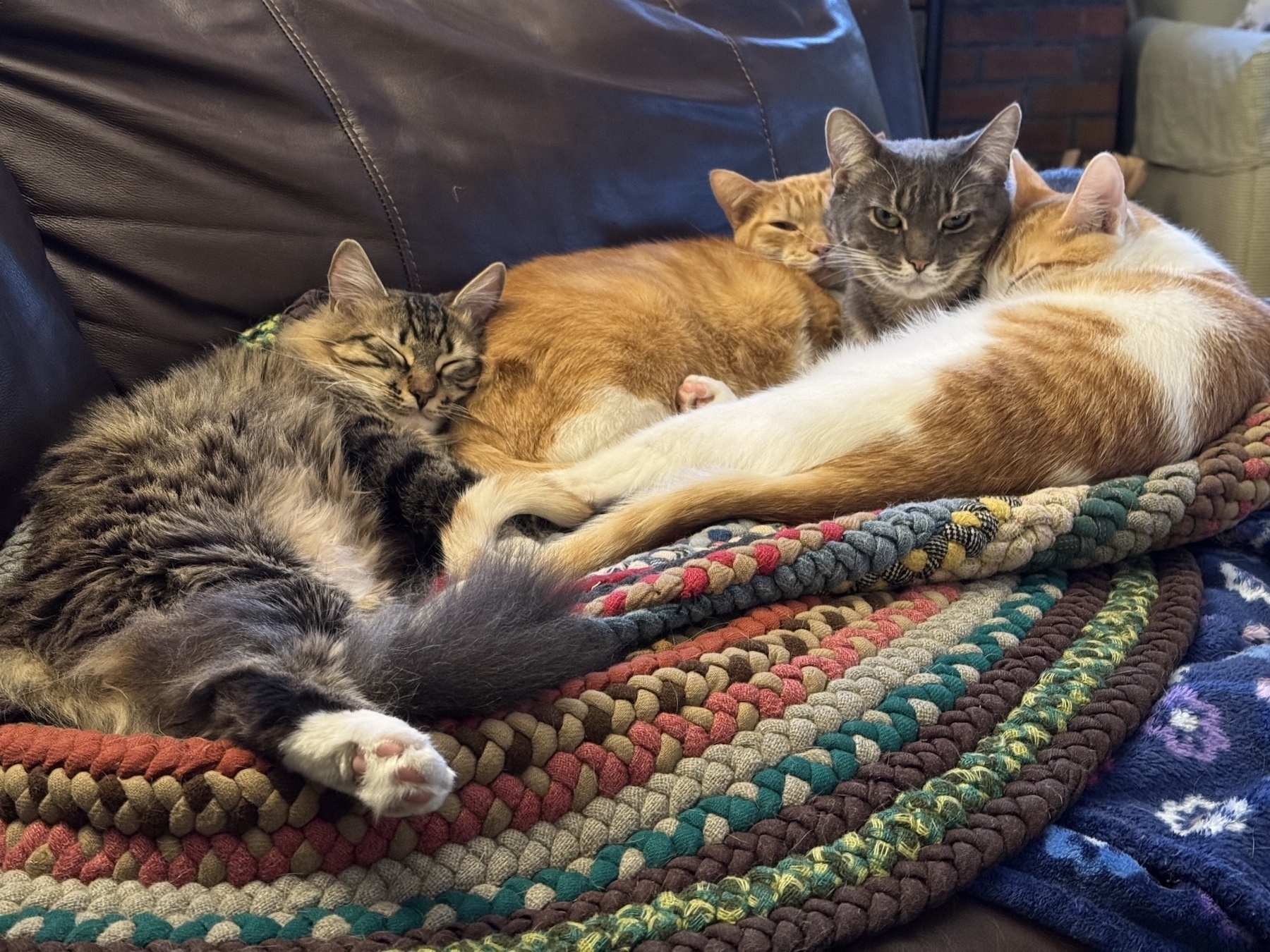 Four cats are cuddled together on a colorful, braided rug on a couch.