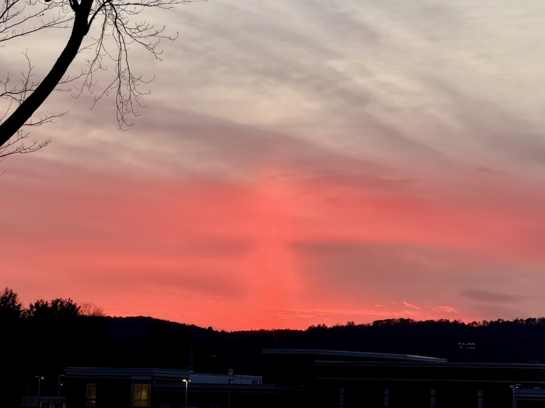 A pink and orange sunset is visible over a silhouette of hills and a building, with a tree branch on the left side.