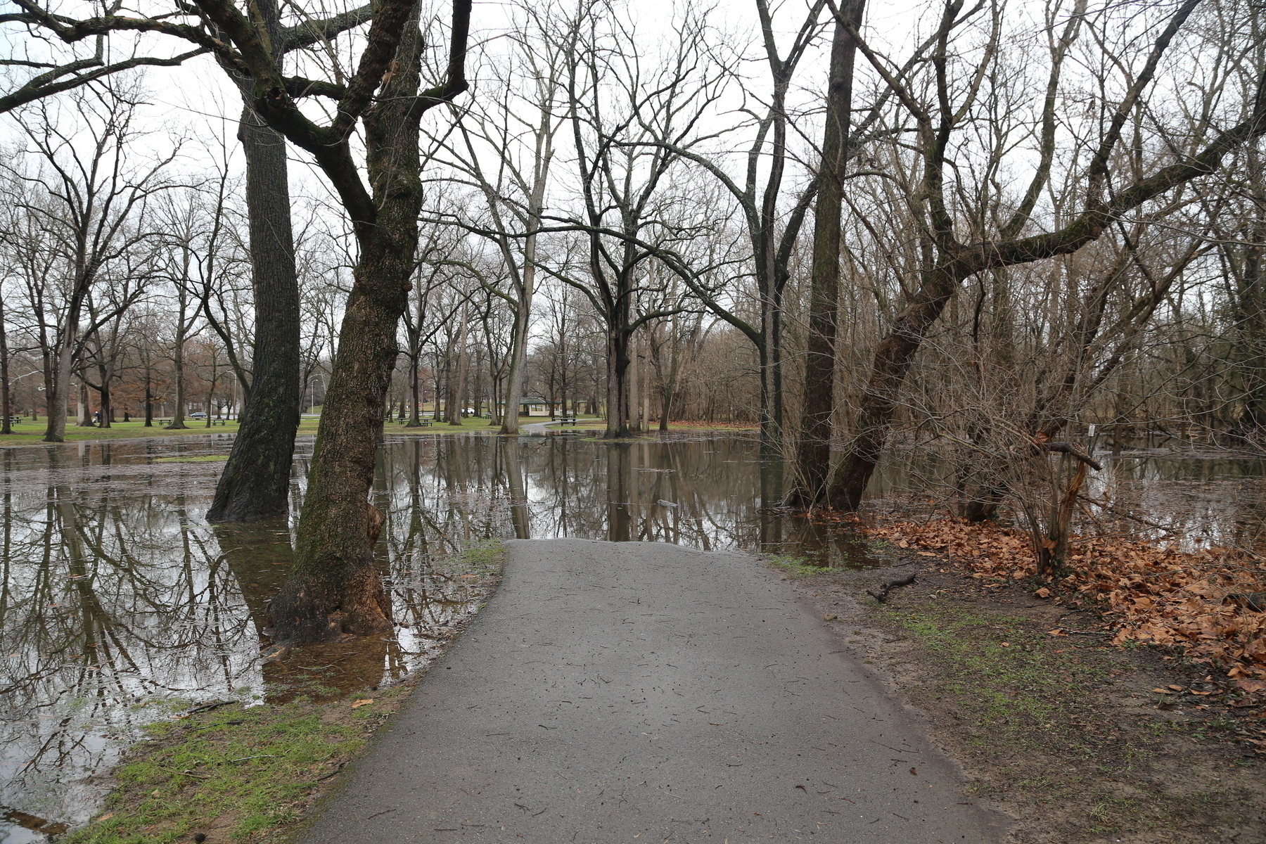 Auto-generated description: A flooded path is flanked by leafless trees and muddy ground, creating a reflective surface.