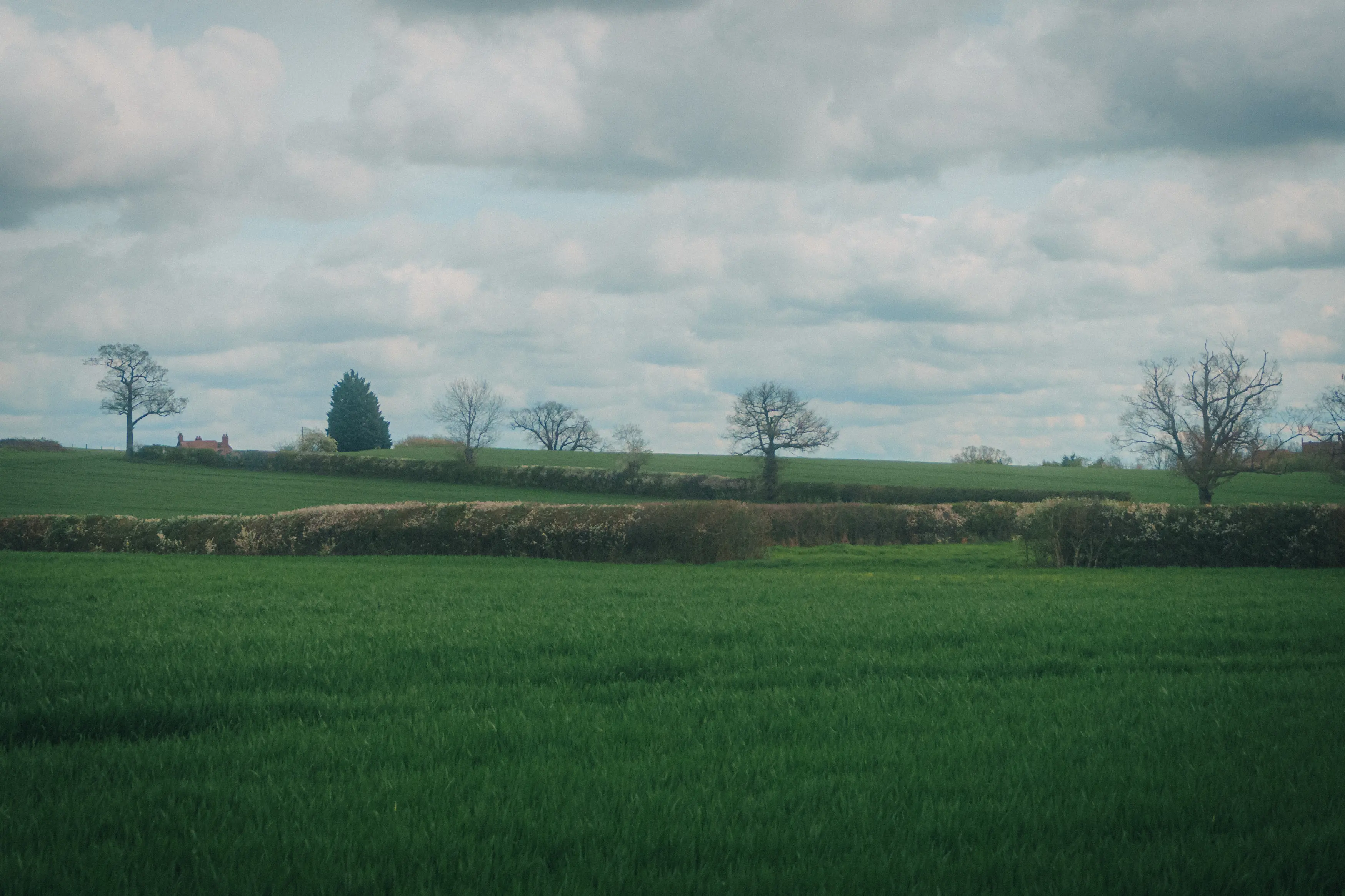 A tranquil rural landscape features a vast green field, hedgerows, and scattered trees under a cloudy sky.