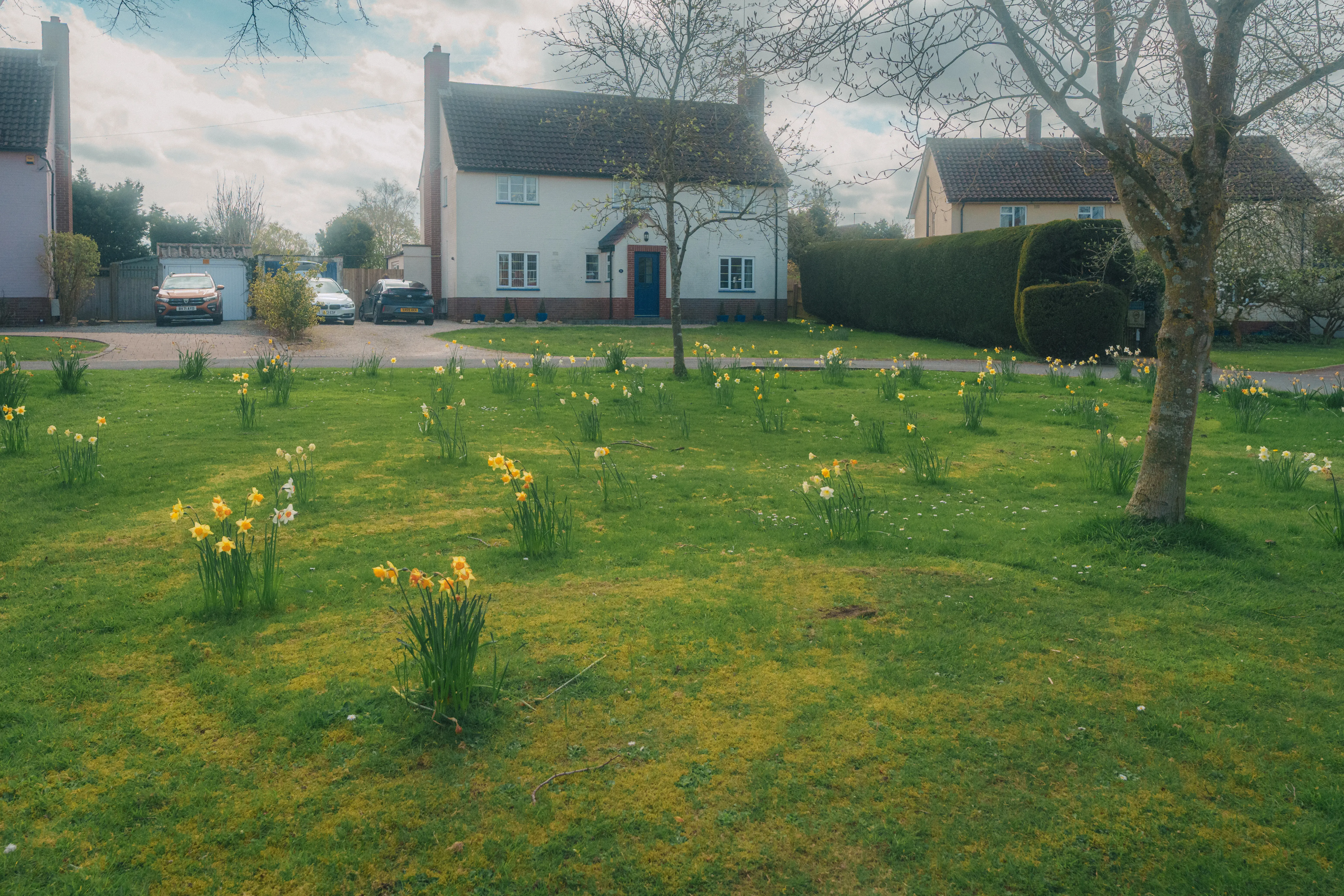 A quaint house stands behind a garden adorned with patches of yellow and white flowers, set against a backdrop of trees and cloudy skies.