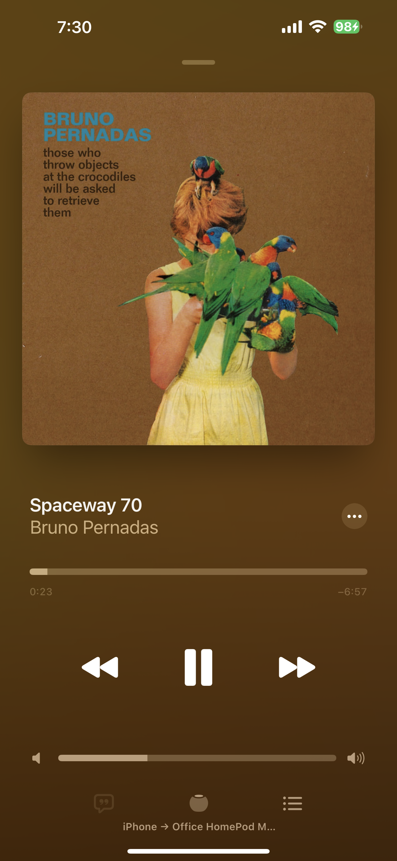 Those Who Throw Objects at the Crocodiles Will Be Asked to Retrieve Them by Bruno Pernadas album in Apple Music