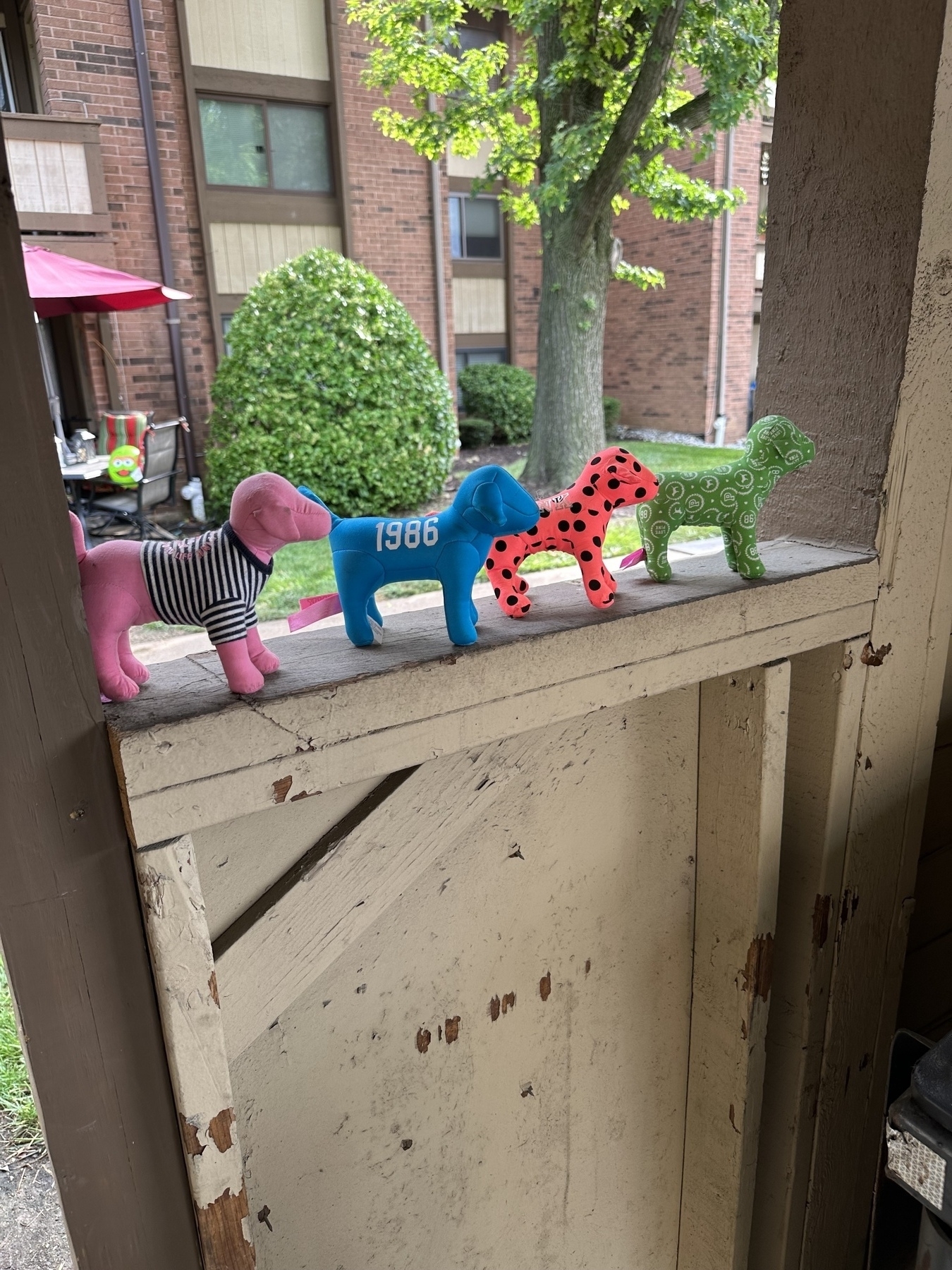A line of Pink brand stuffed dogs