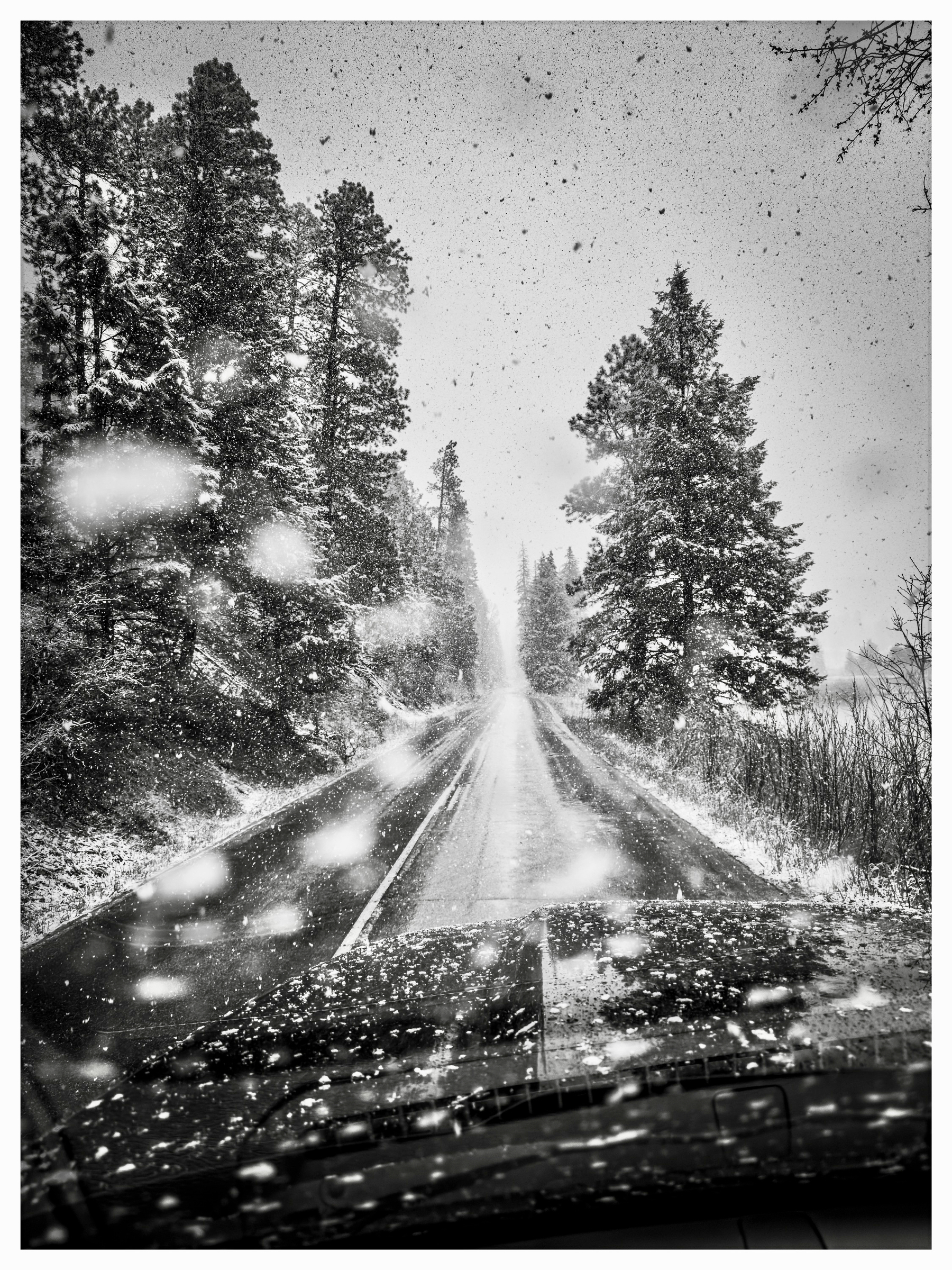 Auto-generated description: A snowy road surrounded by trees is viewed from inside a vehicle, creating a wintery scene with falling snow.