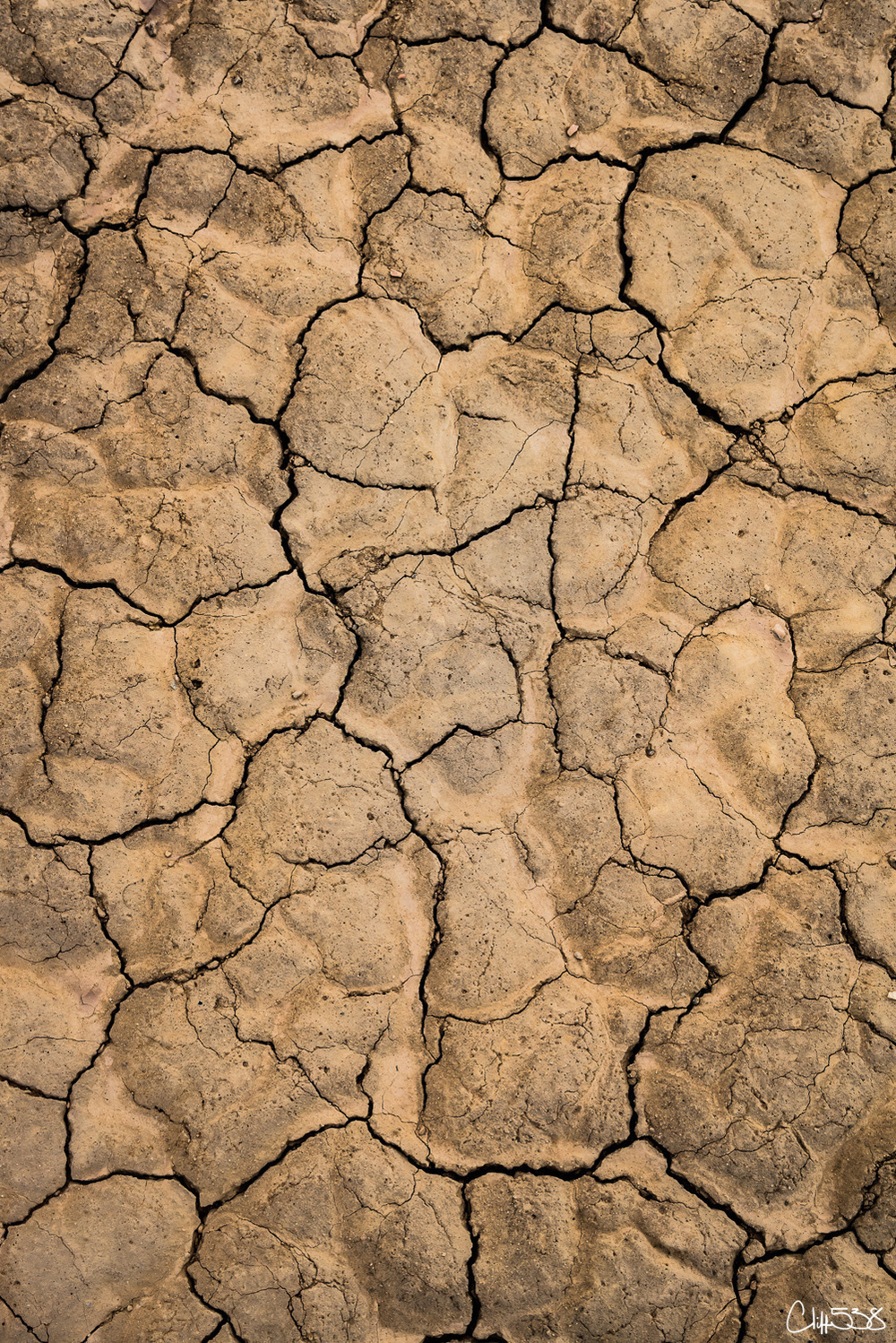 A cracked and arid surface, resembling dried earth or clay, with an intricate network of fissures.