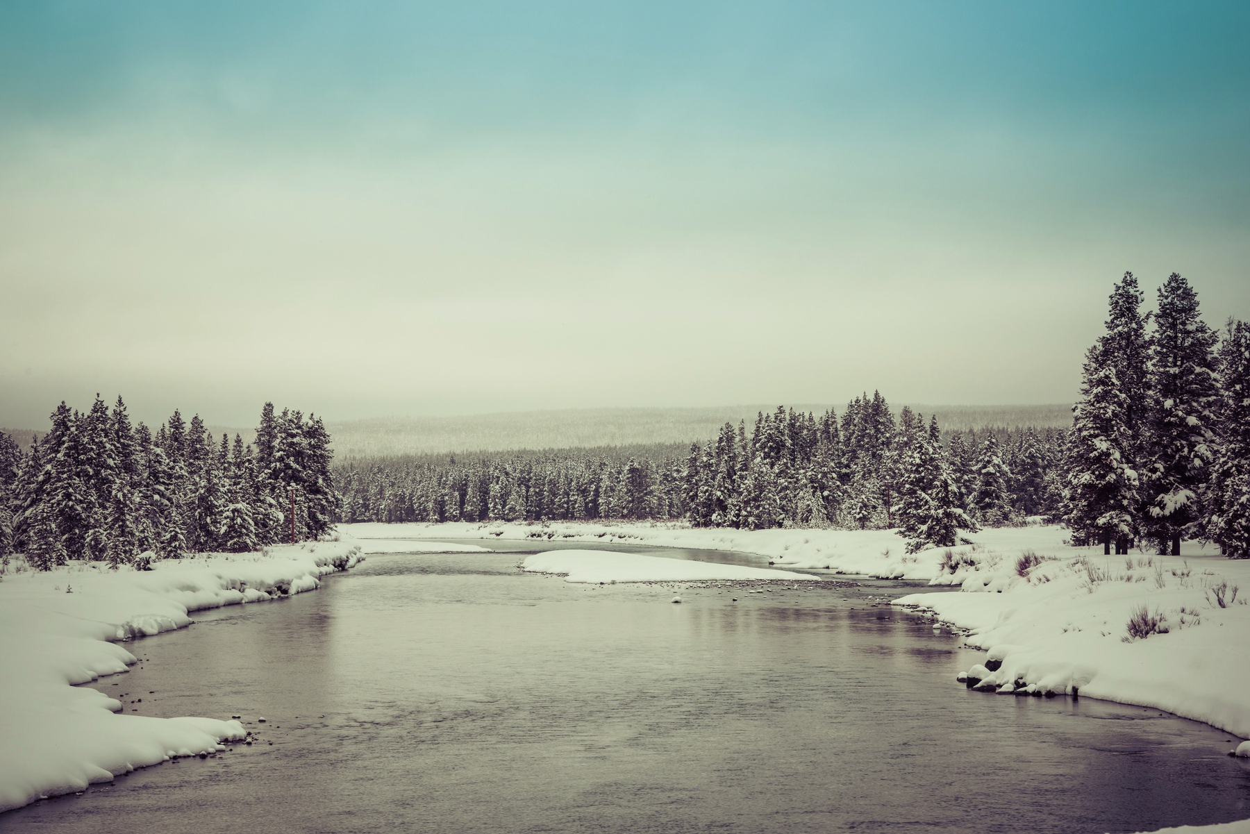 Auto-generated description: A serene winter landscape features a snow-covered riverbank lined with pine trees under a clear sky.