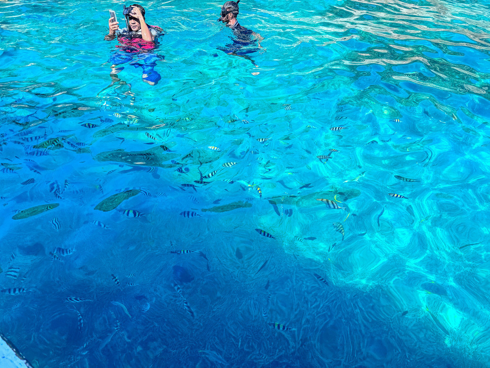 Two people in colorful swimsuits are taking a selfie while swimming in clear blue water with fish visible below.