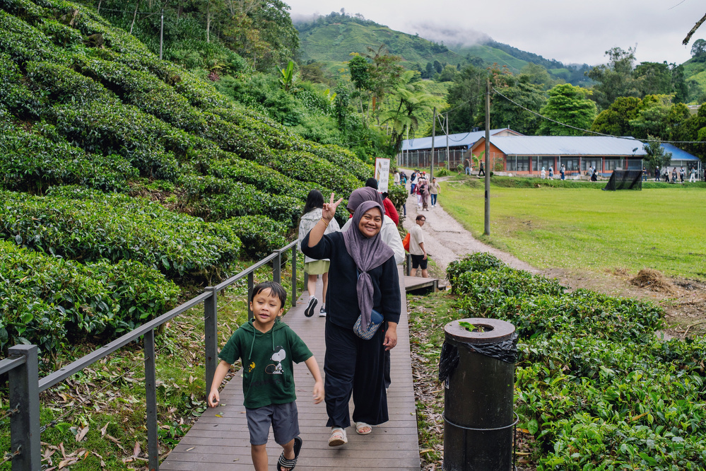 A woman and a child are walking on a path through a lush tea plantation, with a hillside and buildings in the background.