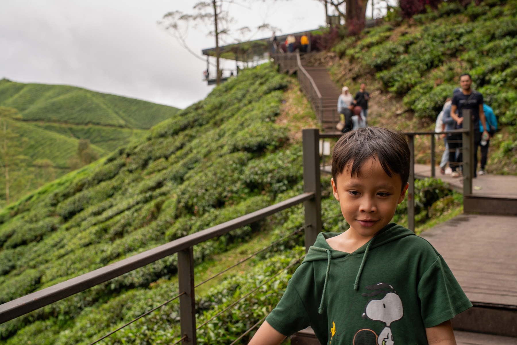 Auto-generated description: A child in a green Snoopy hoodie is standing on a wooden pathway surrounded by lush green hills and tea plantations.