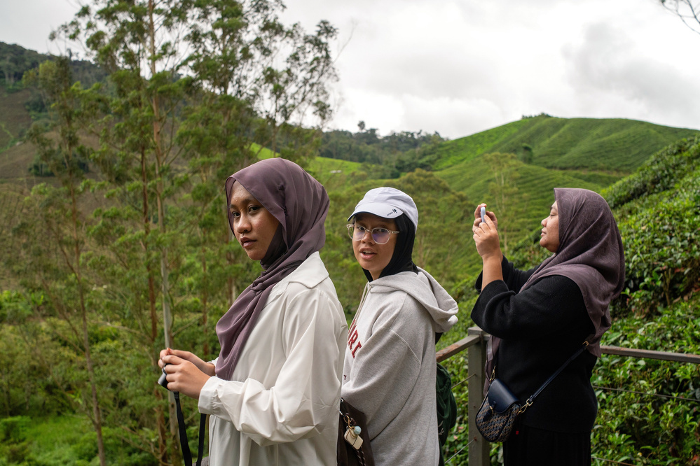Three people are standing on a lookout point, with lush green hills in the background.