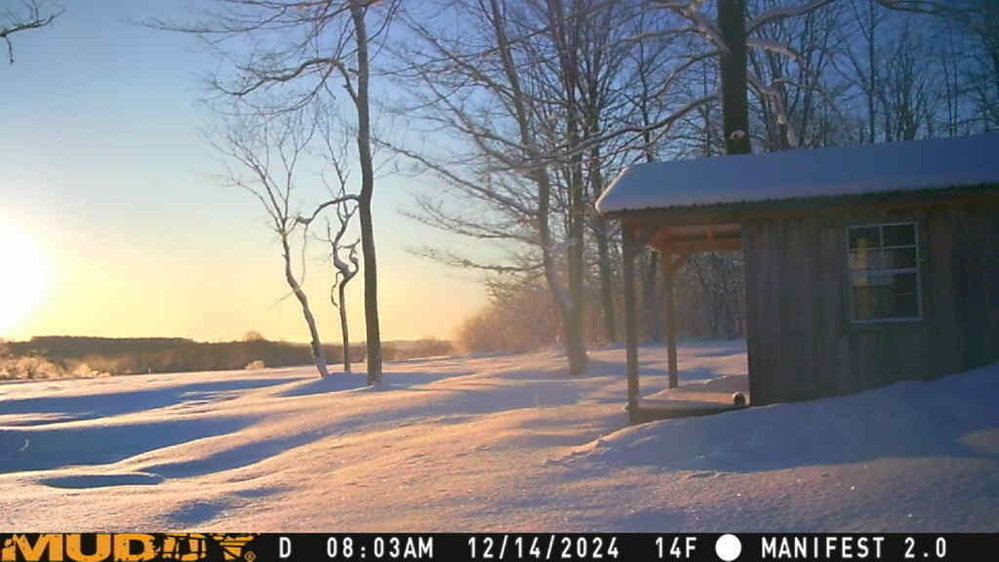 A snowy winter landscape features a small wooden cabin next to leafless trees under a clear sky with the sun low on the horizon.