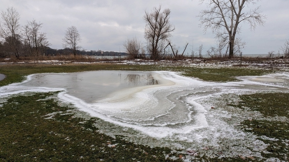 A patch of partially frozen water is surrounded by grass and bare trees under a cloudy sky.