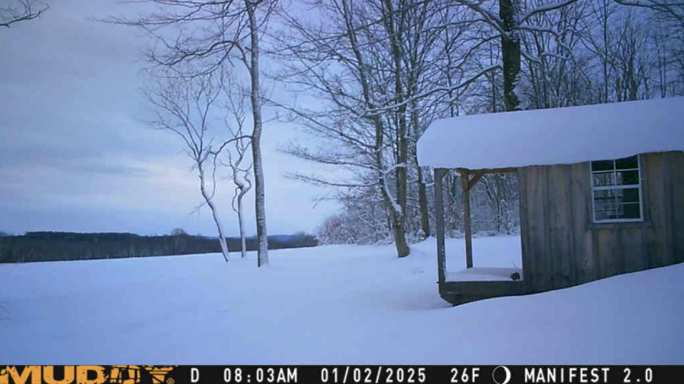 Auto-generated description: A snowy landscape features a rustic wooden cabin next to bare trees and an open field under a cloudy sky.