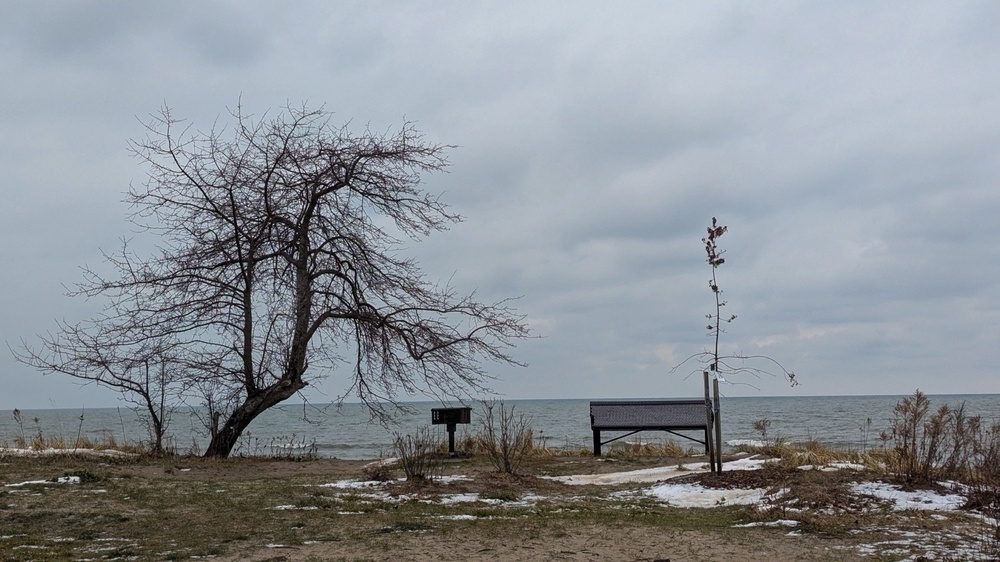 A solitary bench and a leafless tree stand by a wintry lakeside under a cloudy sky.