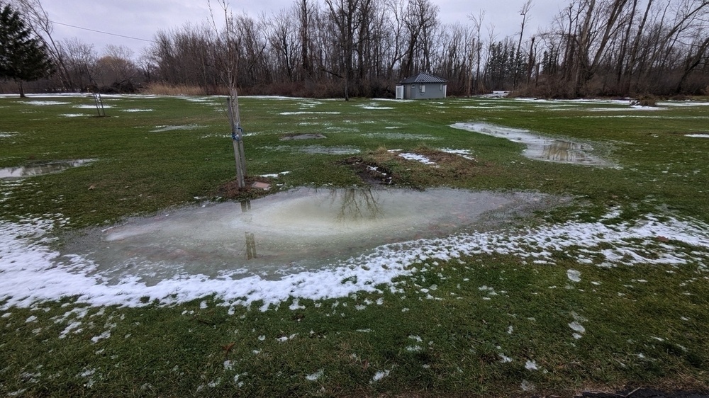 A grassy area with patches of melting snow and puddles of water surrounded by trees.