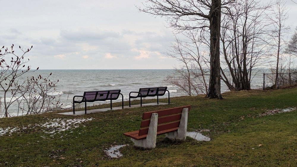 Two benches overlook a calm body of water with bare trees nearby.