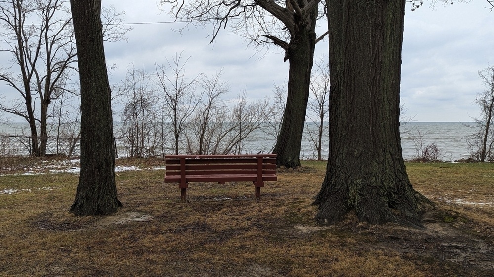 A solitary bench is positioned between two large trees, overlooking a cloudy lakeside scene.