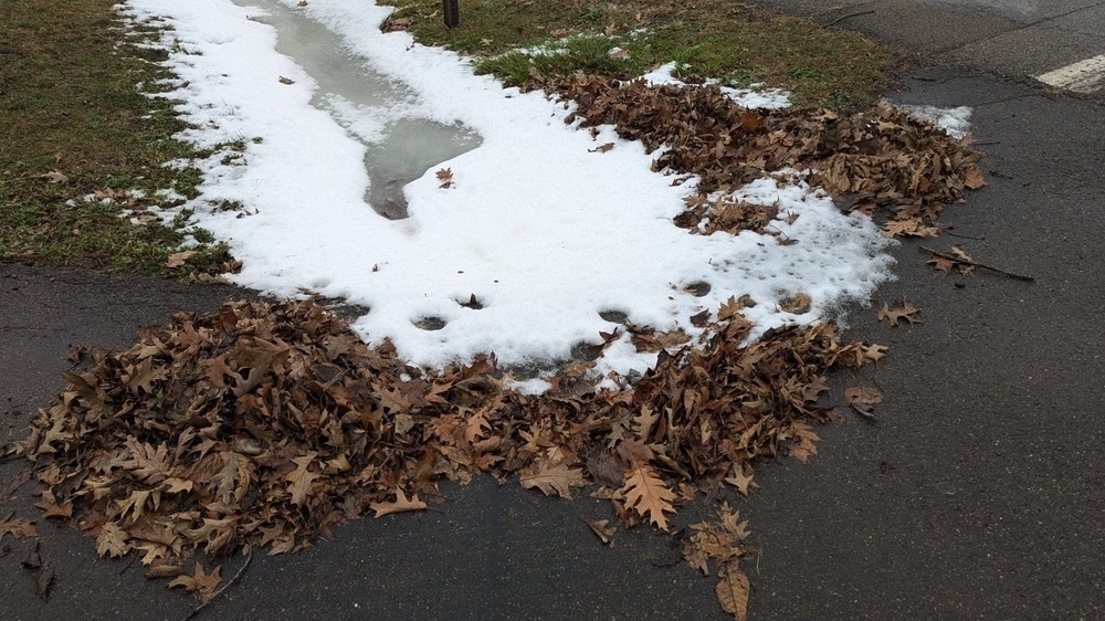 A patch of melting snow is surrounded by piles of brown leaves on a paved surface.