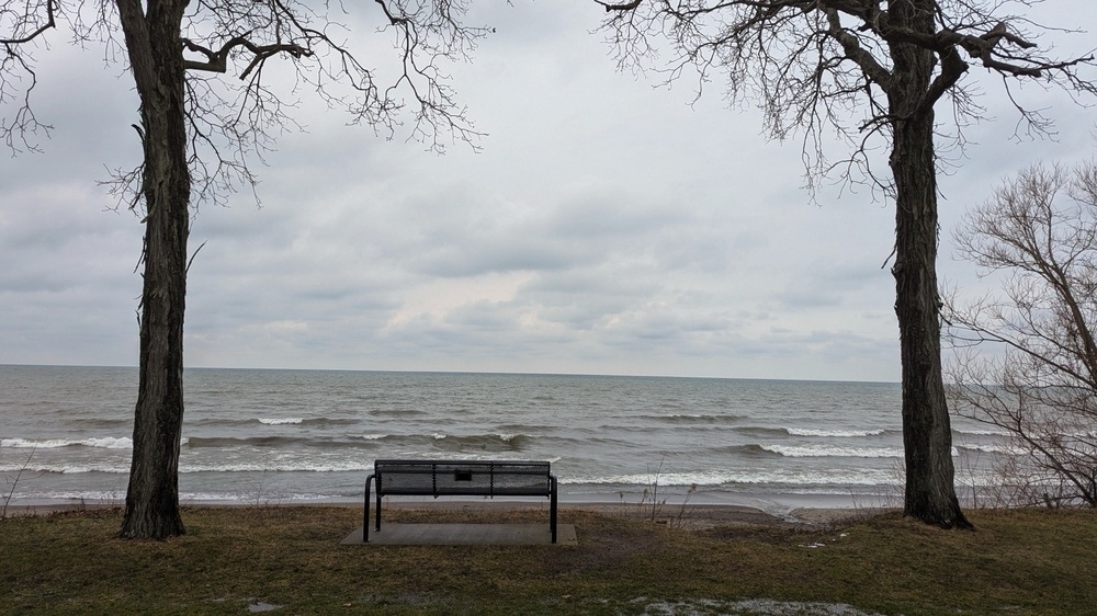 A solitary bench sits between two trees, overlooking a cloudy and tranquil seascape.