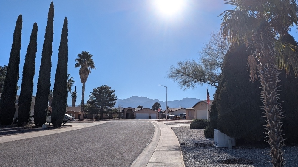 A sunny suburban street features tall trees and houses with mountains in the distance.