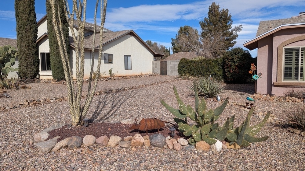 A desert landscape features gravel ground, cacti, decorative rocks, and two houses in the background.