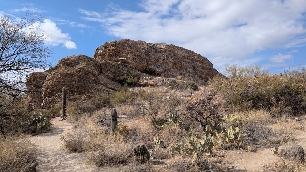 A desert landscape features large rocky formations, cacti, and sparse vegetation under a partly cloudy sky.