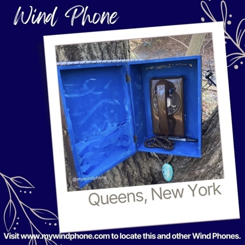 A vintage rotary phone is mounted inside a blue box on a tree trunk in Queens, New York, labeled Wind Phone.