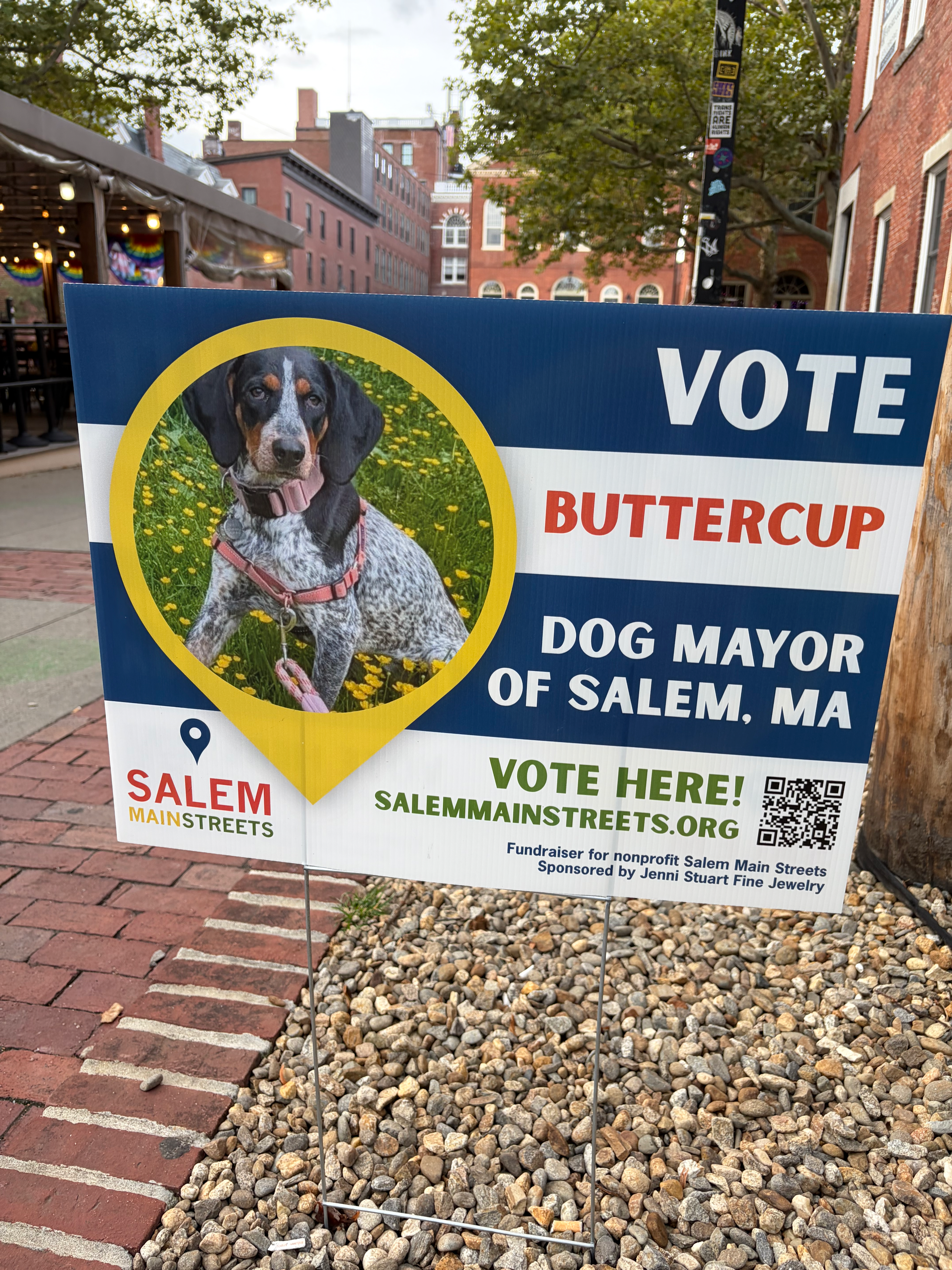 A campaign sign for Buttercup for “Dog Mayor” of Salem, MA.