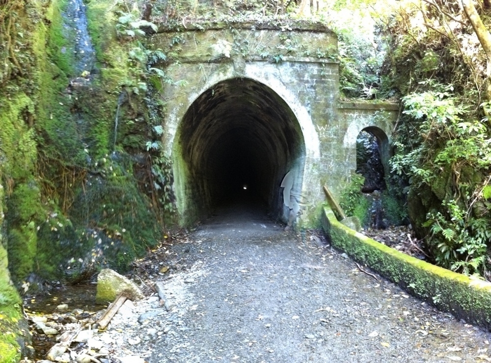 The Summit Tunnel, Wairarapa side