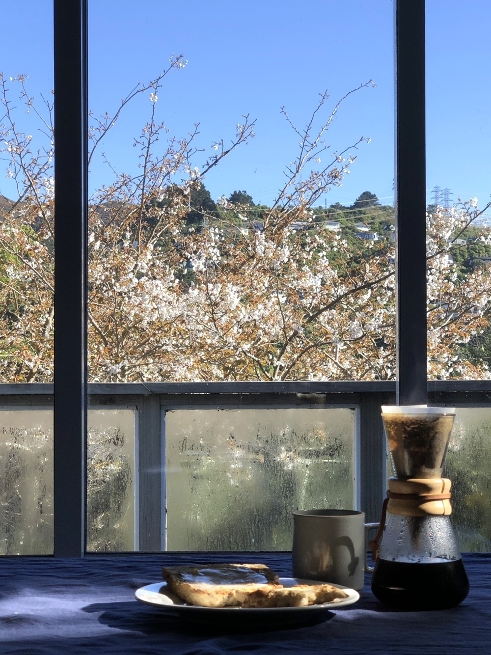 breakfast - toast and coffee looking out a window into sunshine with a cherry tree