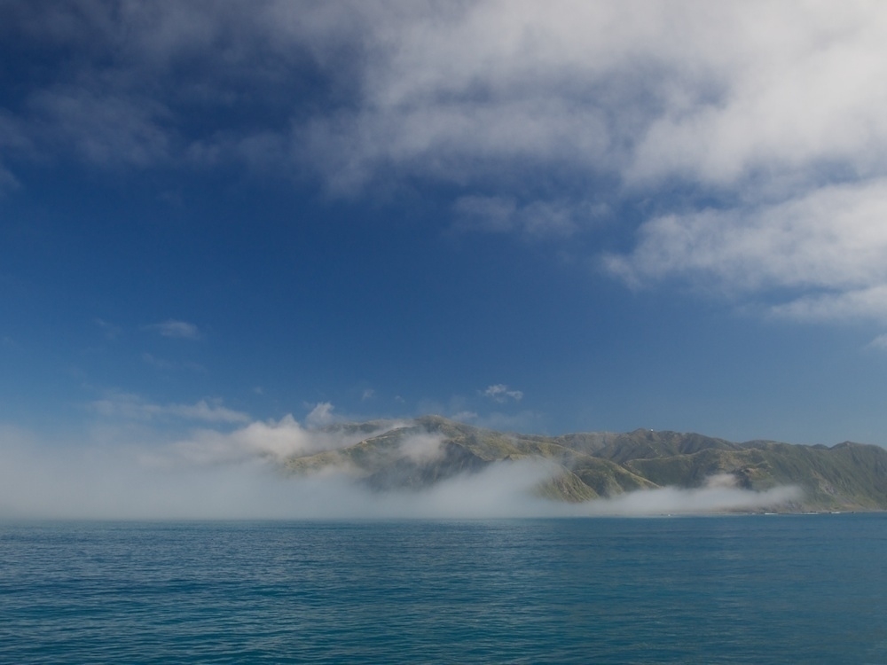 Fog on Wellington's South Coast; December 2011