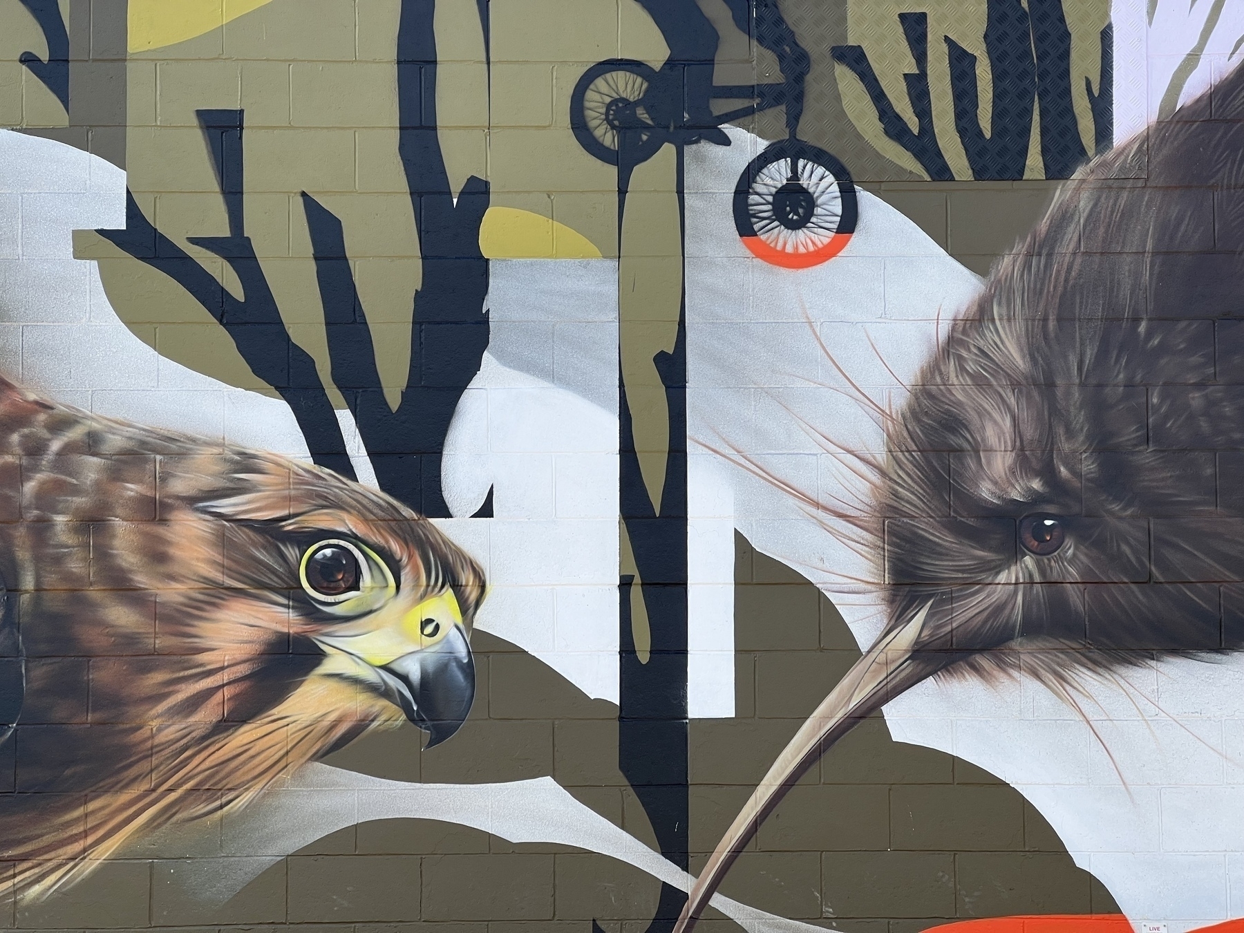 Mural closeup showing a kārearea (NZ Falcon) and a kiwi. 