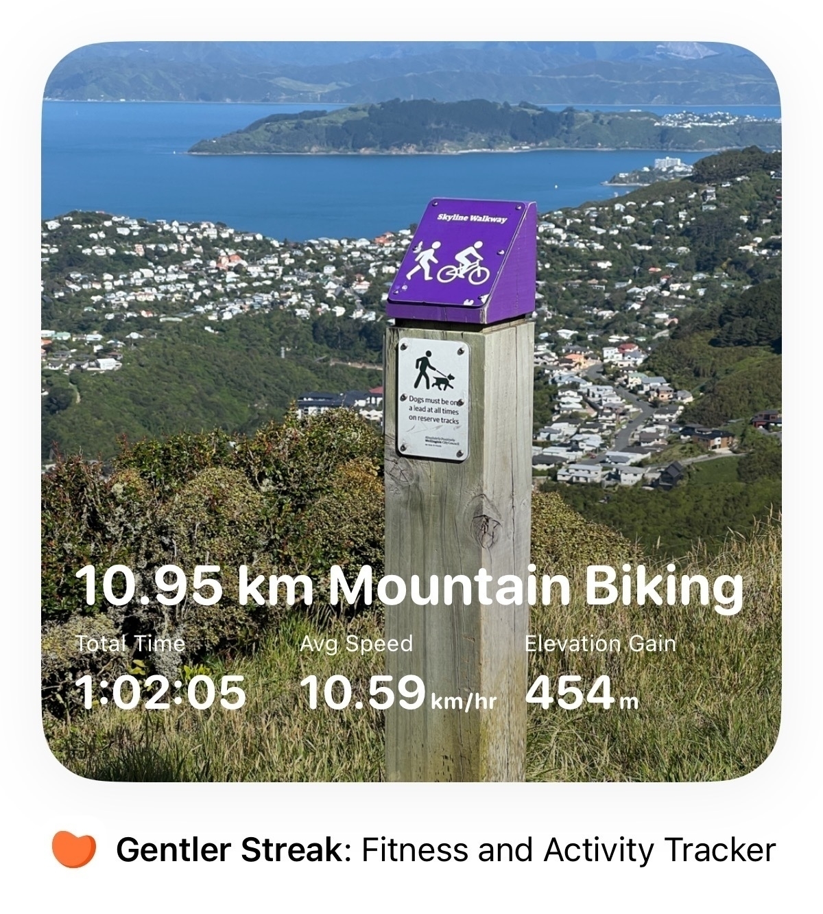 View past a trail marker down to Wellington Harbour across western hill suburbs. There is a slightly annoying shout out to the fitness tracking app I am using (Gentler Streak).