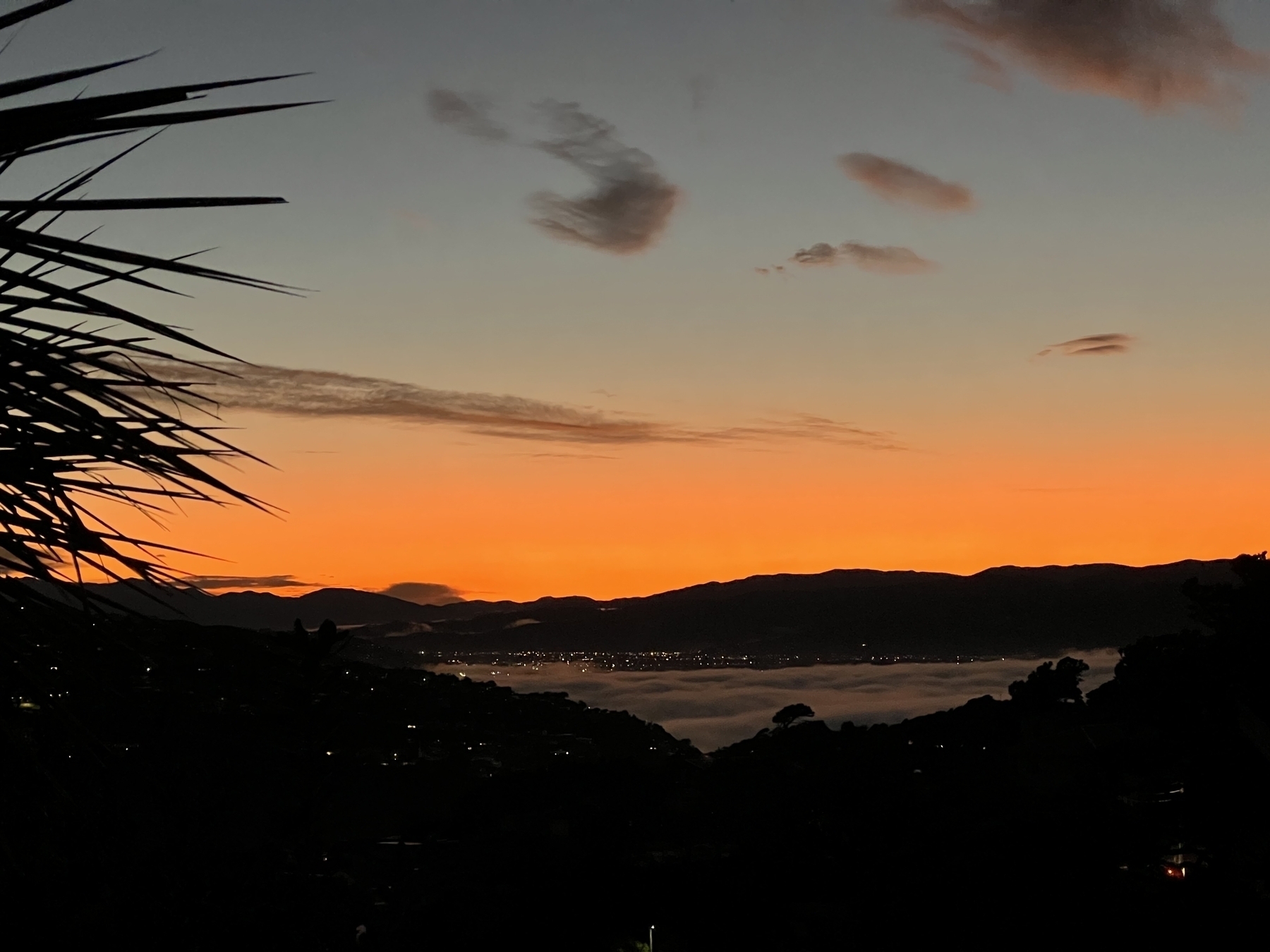 Dawn over Wellington Harbour looking north east. The sea is covered in a layer of fog, the sky a deep orange over dark hills.