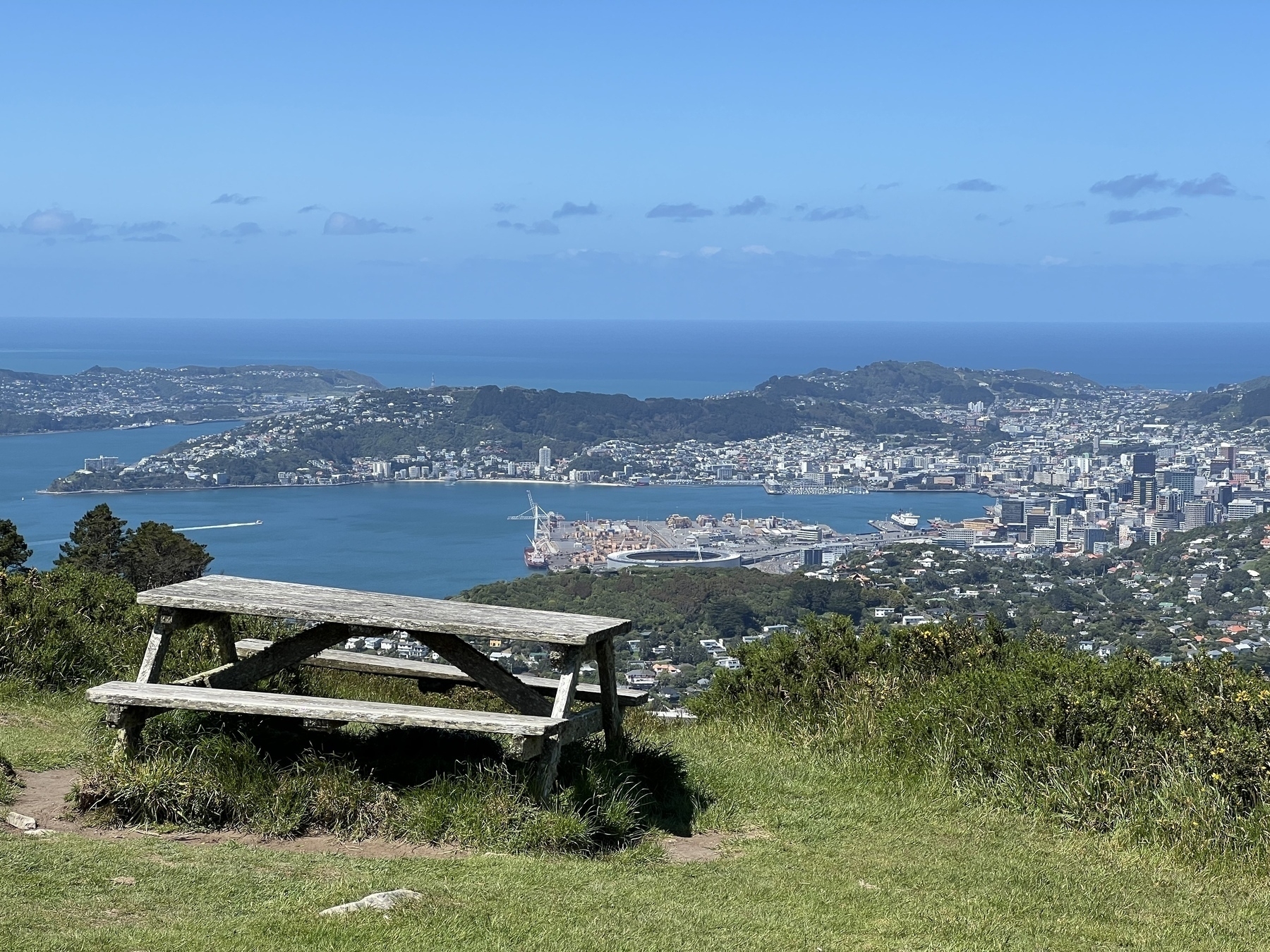 An empty picnic table sits on some short green grass. It is on the top of a hill overlooking the city of Wellington and harbour.