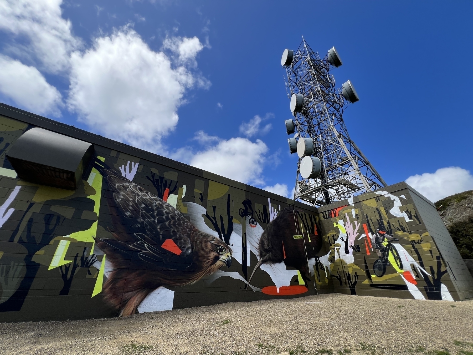 A mural on the building that supports the transmission mast at the top of Makara Peak. There are lots of birds and bikes in the mural.