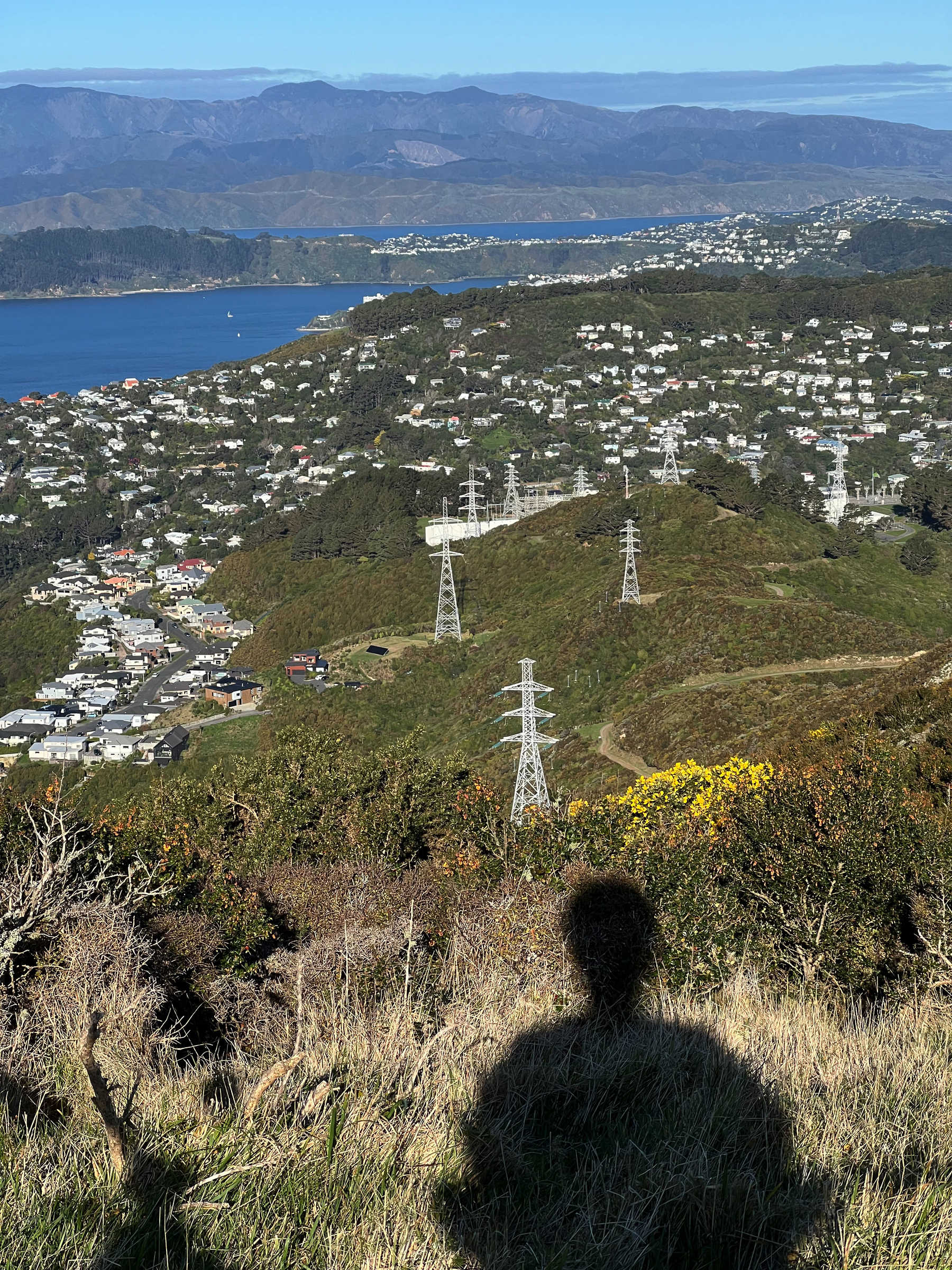 On Kilmister Tops, looking past the Crofton Downs substation across to Wilton on the sunny side of Te Ahumairangi. Wellington Harbour is in the distance.